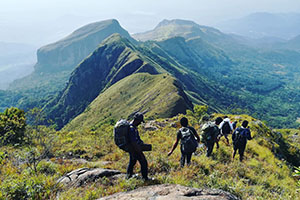 Knuckles Mountain Range